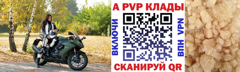 APVP СК  Кузнецк 
