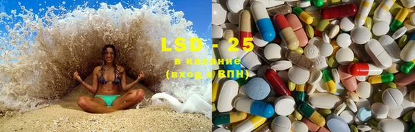 ECSTASY Бородино