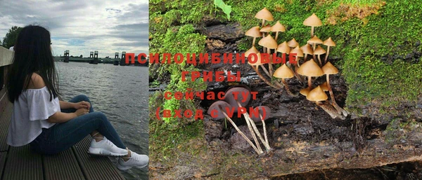 экстази Губаха