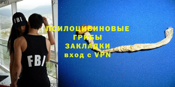 твердый Нязепетровск