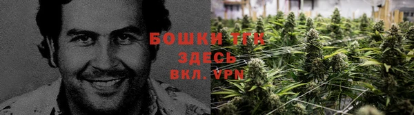 экстази Губаха