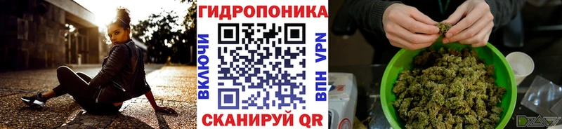 дарк нет наркотические препараты  купить наркотик  Кузнецк  Шишки марихуана MAZAR 